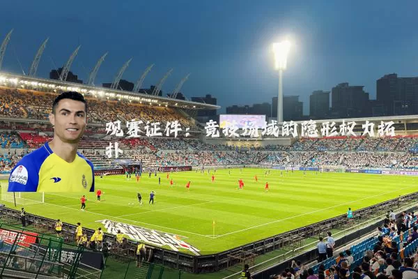 观赛证件:竞技场域的隐形权力拓扑